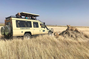 4 Days The Wild of Serengeti, Ngorongoro Crater & Tarangire (Lodging)