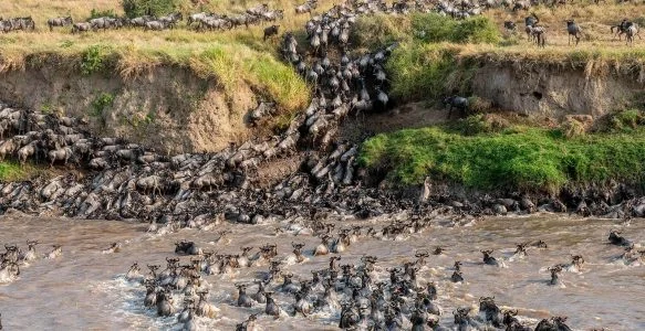 MARA RIVER CROSSING