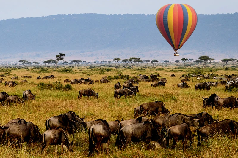 FLY MARA RIVER TO ZANZIBAR