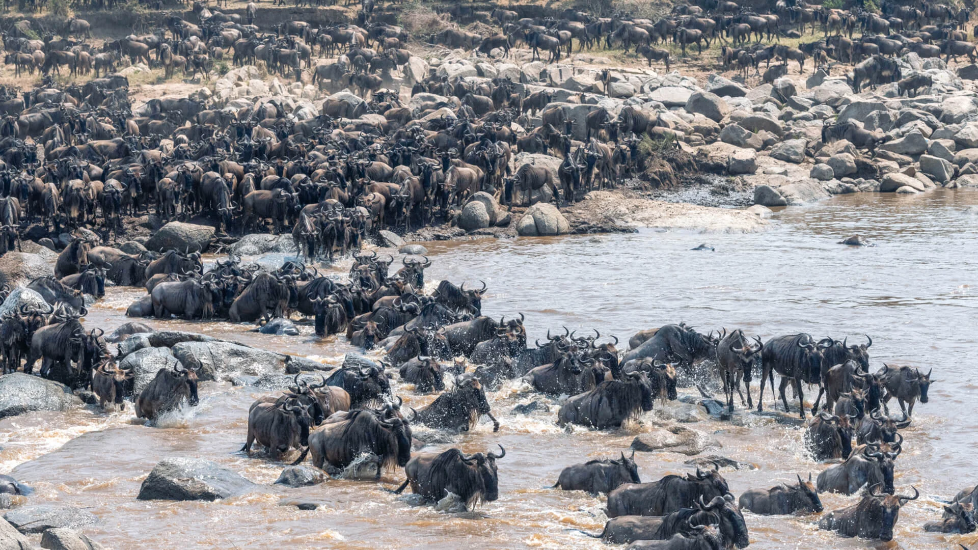 when to visit tanzania