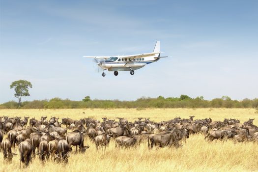 Fly-in-Safari-Serengeti